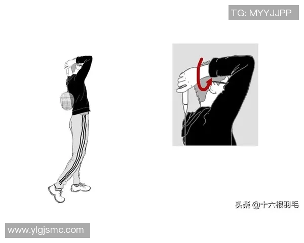 科学羽毛球技术训练方法的全面解析与实用技巧分享 科学羽毛球技术训练方法的全面解析与实用技巧分享